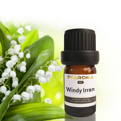 ราคาดี Ilan Aroma Diffuser น้ำมันหอมระเหยกลิ่นน้ำหอมปรับอากาศรถยนต์อย่างยั่งยืน 500มล ออนไลน์